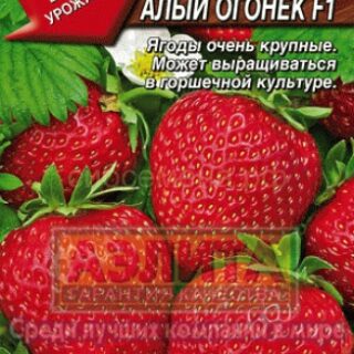Земляника АЛЫЙ ОГОНЁК F1 /Аэлита/ 10шт