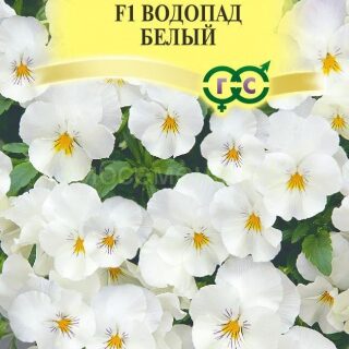 Виола ВОДОПАД белый ампельная /Гавриш/