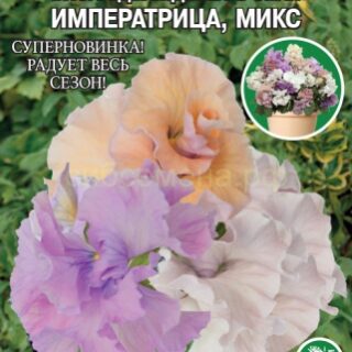 Виола ИМПЕРАТРИЦА микс, дваждымахровая (Премиум)