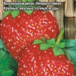 Земляника ЗЕФИР/СибСад/