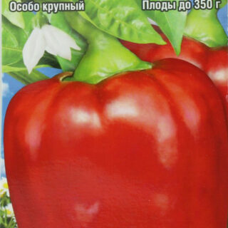 Перец БИФ-СИБИРЯК (СибСад)