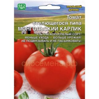 Томат МОНГОЛЬСКИЙ КАРЛИК (УД)