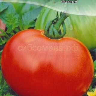 Томат САНЬКА , 0,08гр (цв.)