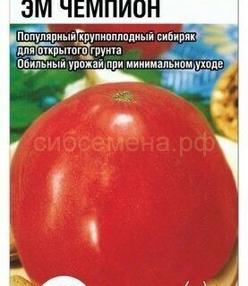 Томат ЭМ ЧЕМПИОН (СибСад)