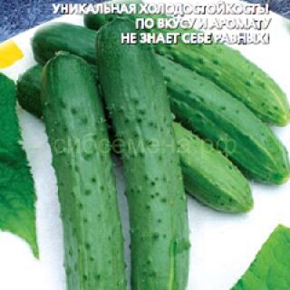 Огурец СИБИРСКИЕ БАНАНЫ F1 (УД)