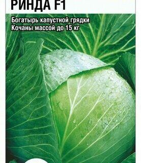 Капуста белокочанная Ринда F1 /СибСад/
