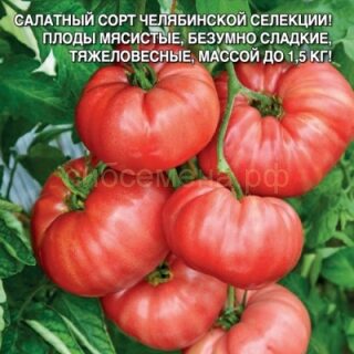 Томат Сахарная голова (УД)