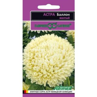 Астра БАЛЛОН, желтый, густомахровый /Гавриш/