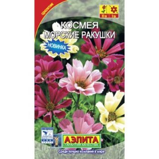 Космея МОРСКИЕ РАКУШКИ /Аэлита/