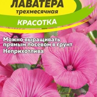 Лаватера КРАСОТКА /Алтай/