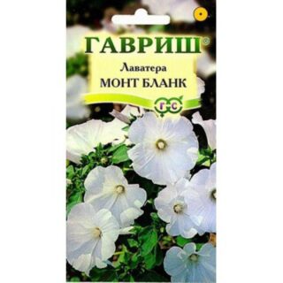 Лаватера МОНТ БЛАНК /Гавриш/