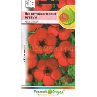 Лён РУБРУМ /НК/