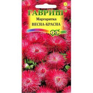 Маргаритка Весна - красна (Гавр)