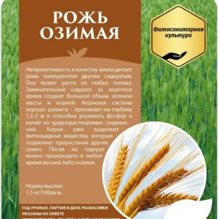 Рожь 500гр /СдС/