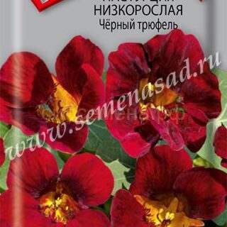 Настурция ЧЕРНЫЙ ТРЮФЕЛЬ низкорослая (П)