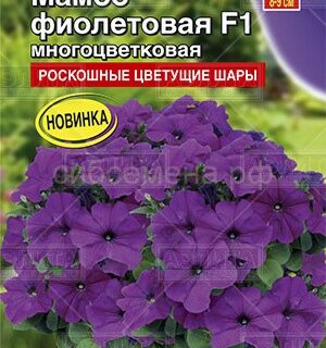 Петуния МАМБО фиолетовая, многоцветковая (Аэлита)
