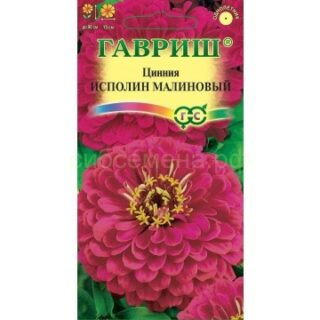 Цинния ИСПОЛИН малиновый /Гавриш/