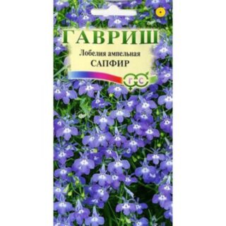 Лобелия Сапфир (Гавр)