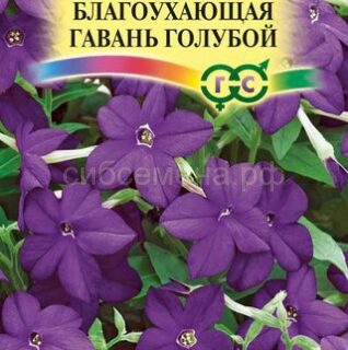 Табак БЛАГОУХАЮЩАЯ ГАВАНЬ голубой /Гавриш/