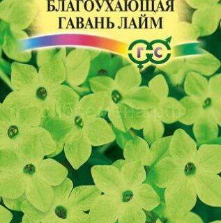 Табак БЛАГОУХАЮЩАЯ ГАВАНЬ лайм /Гавриш/