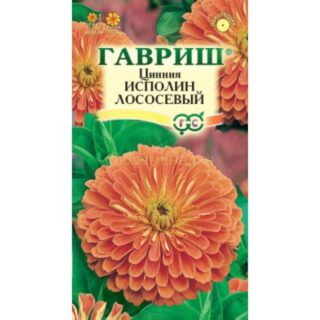 Цинния ИСПОЛИН лососевый /Гавриш/