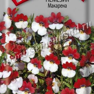 Немезия МАКАРЕНА красно-белая /Поиск/