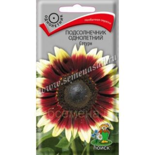 Подсолнечник САТУРН /Поиск/