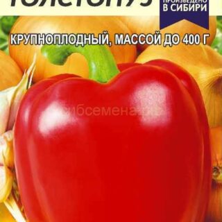 Перец ТОЛСТОПУЗ /Алтай/