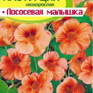 Настурция ЛОСОСЕВАЯ МАЛЫШКА /Алтай/