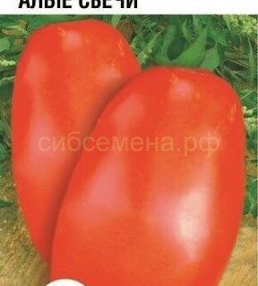 Томат АЛЫЕ СВЕЧИ /СибСад/