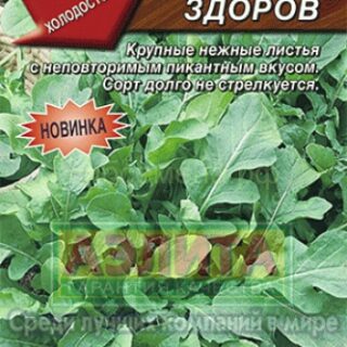 Индау (Рукола) БУДЬ ЗДОРОВ /Аэлита/