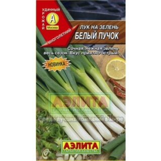 Лук на зелень Белый пучок/Аэлита/