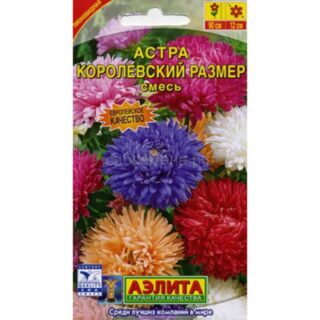 Астра КОРОЛЕВСКИЙ РАЗМЕР смесь /Аэлита/
