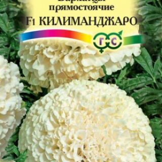 Бархатцы КИЛИМАНДЖАРО прямостоячие /Гавриш/