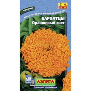 Бархатцы ОРАНЖЕВЫЙ СНЕГ прямостоячие /Аэлита/