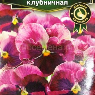 Виола КАН КАН F1, клубничная /Аэлита/