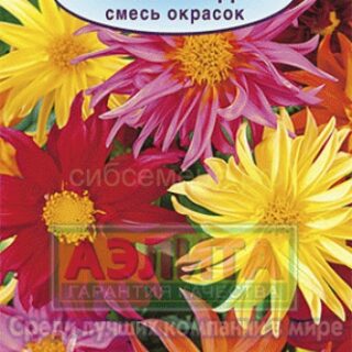 Георгина Кактусовидная смесь /Аэлита/