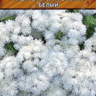 Агератум МЕКСИКАНСКИЙ белый /Аэлита/