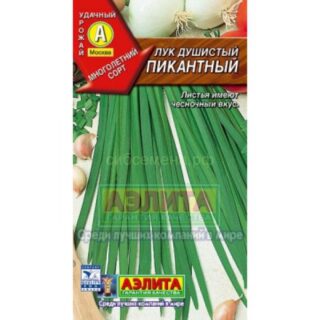 Лук душистый ПИКАНТНЫЙ /Аэлита/