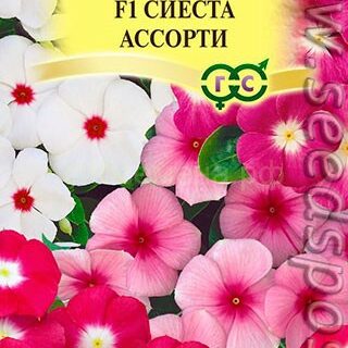 Катарантус Сиеста ассорти F1 (Гавриш)