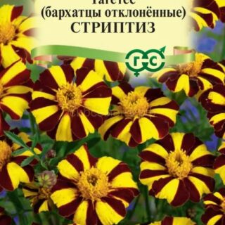 Бархатцы СТРИПТИЗ отклоненные  /Гавриш/ 0,3гр