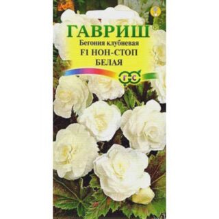 Бегония клубневая F1 НОН-СТОП белая/Гавриш/