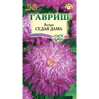 Астра СЕДАЯ ДАМА /Гавриш/