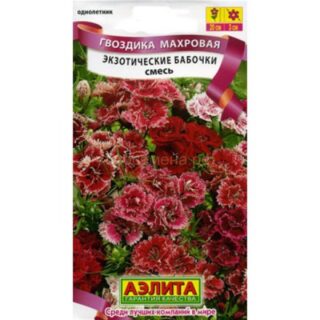 Гвоздика ЭКЗОТИЧЕСКИЕ БАБОЧКИ смесь окрасок/Аэлита/