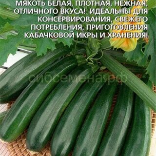Кабачок цуккини Семеновна (УД)