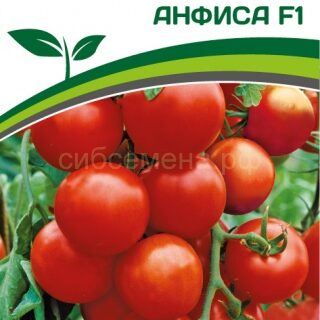Томат Анфиса F1 (Партнер)