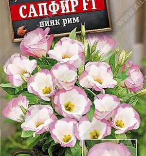 Эустома Сапфир F1 пинк рим крупноцветковая (Аэлита)