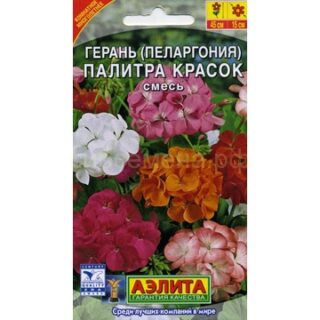 Пеларгония Палитра Красок (Аэлита)