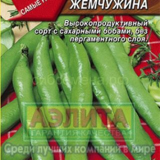 Бобы ЧЕРНАЯ ЖЕМЧУЖИНА /Аэлита/10г