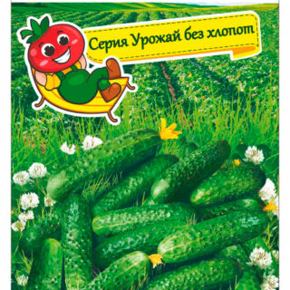 Огурец Сибирский салют /Сиб сад/